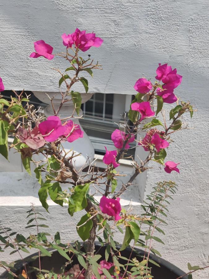 Ferienwohnung Yoga House Vanivilasa Puram Exterior foto
